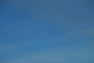 sDTH_1446.JPG